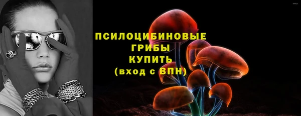 винт Богородицк