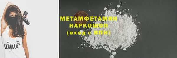 молекула духа Богданович