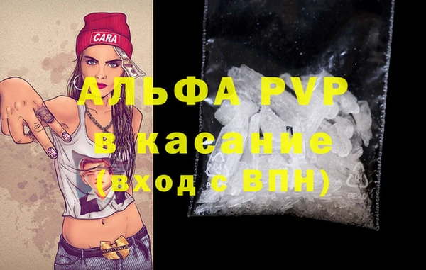 молекула духа Богданович
