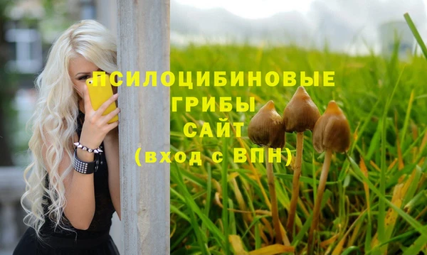 прущая мука Белокуриха