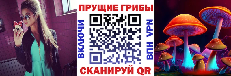 мега вход  где купить наркоту  Бородино  Псилоцибиновые грибы Psilocybine cubensis 